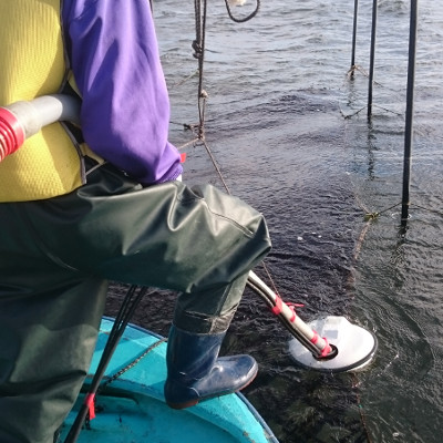 ポンプで海苔を吸い上げる収穫法